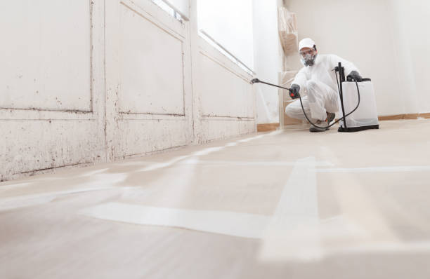 24/7 Emergency Commercial Mold Remediation experts in Carrboro, NC
