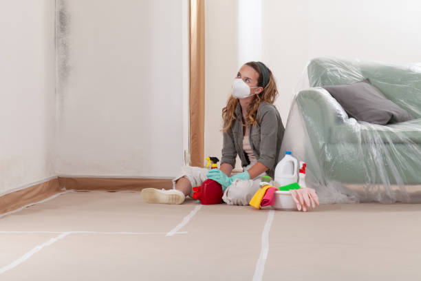 Reliable Mold Cleanup contractor in Carrboro, NC by Cheap Mold Removal